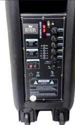 اسپیکر شارژی قابل حمل EVER-1009 - Image 2